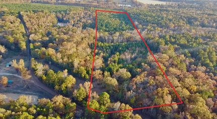 Timberland Property for sale in Upshur County, Texas