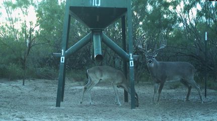 Property for sale in Jim Hogg County, Texas