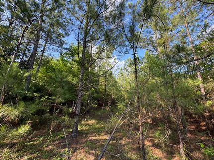 Property for sale in Franklin County, Alabama