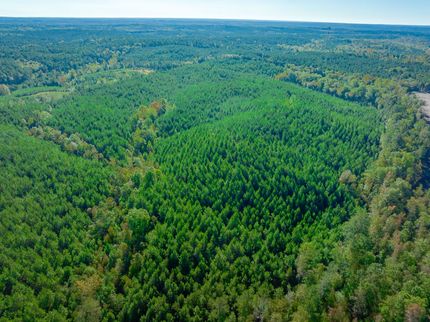 Farm Property for sale in Fairfield County, South Carolina