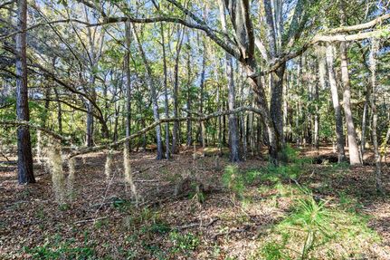 Timberland Property for sale in Charleston County, South Carolina