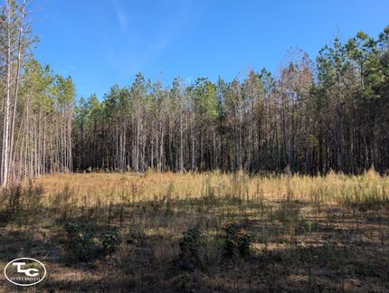 Property for sale in Hale County, Alabama