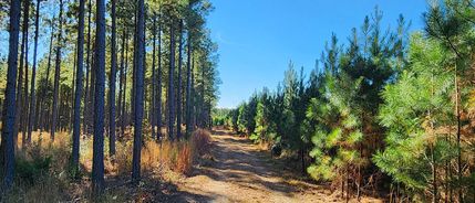 Property for sale in Caroline County, Virginia