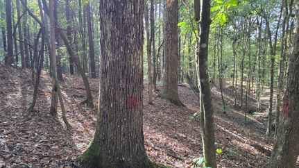 Property for sale in Franklin County, Mississippi