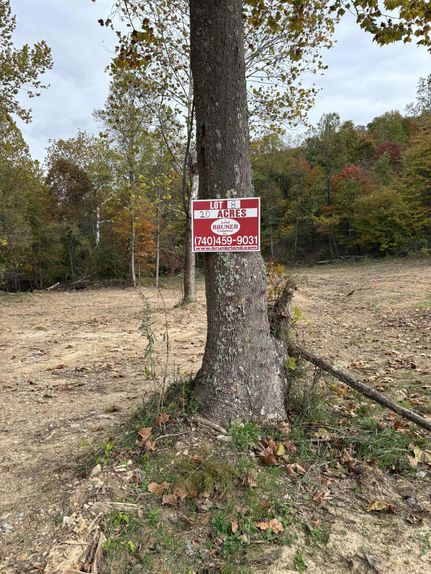 Hunting Land for sale in Lewis County, Kentucky