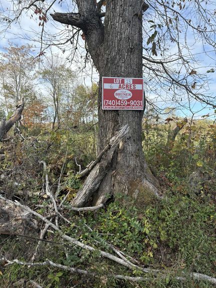 Property for sale in Lewis County, Kentucky