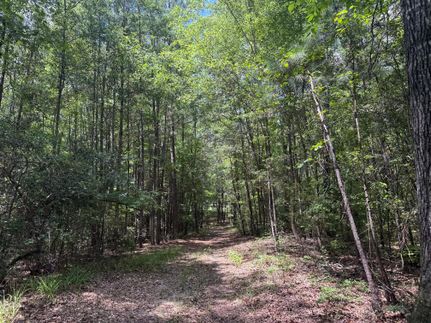 Timberland Property for sale in Hale County, Alabama