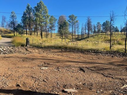 Undeveloped Land for sale in Lincoln County, New Mexico