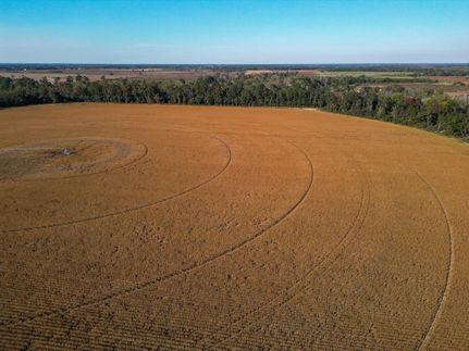 Property for sale in Calhoun County, Georgia