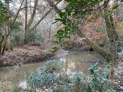 Undeveloped Land for sale in Amite County, Mississippi