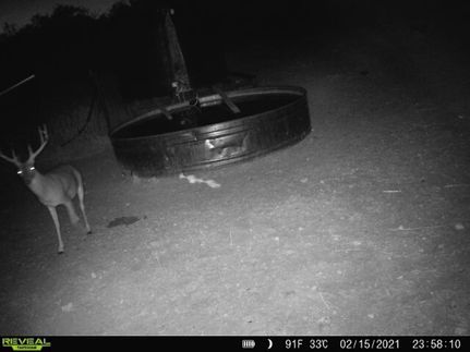 Property for sale in Mills County, Texas