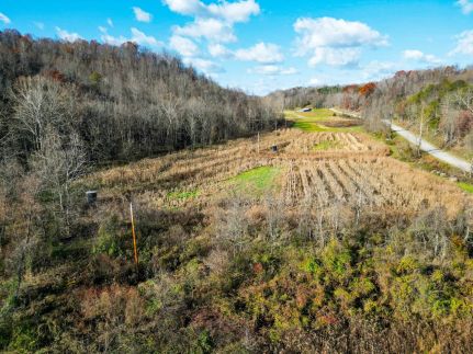 Timberland Property for sale in Gallia County, Ohio