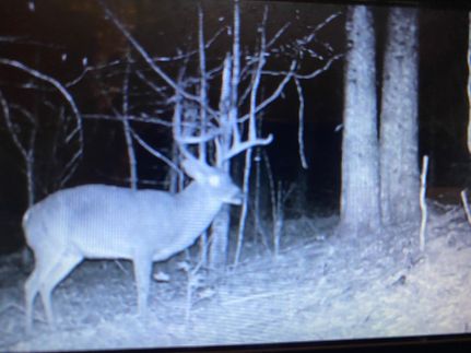 Property for sale in Perry County, Tennessee