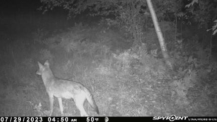 Property in Iron County, Wisconsin