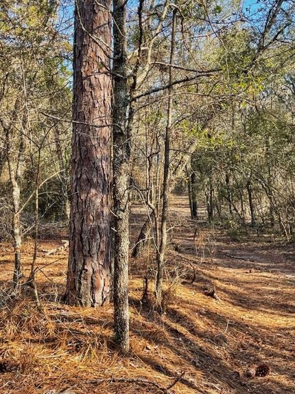 Property for sale in Emanuel County, Georgia