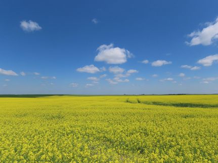 Property for sale in Burke County, North Dakota