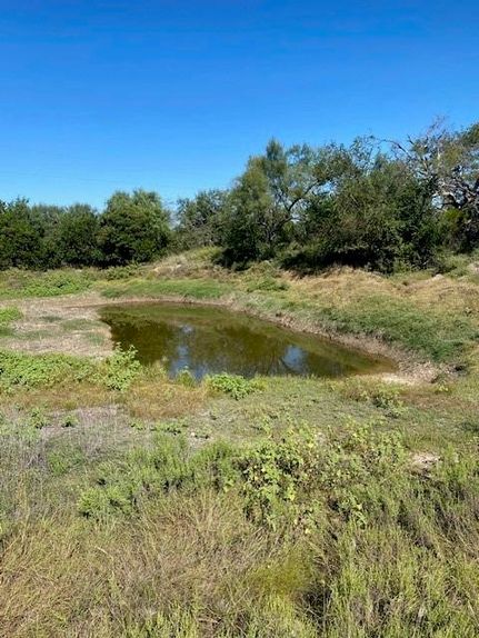 Undeveloped Land for sale in Brown County, Texas