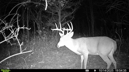 Property for sale in Kenton County, Kentucky