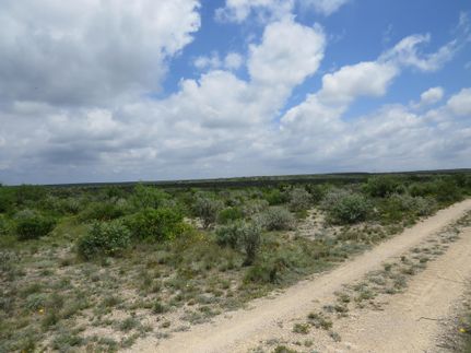 Undeveloped Land for sale in Val Verde County, Texas