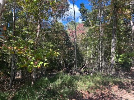 Property for sale in Fannin County, Georgia