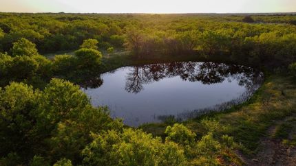 Property for sale in Young County, Texas