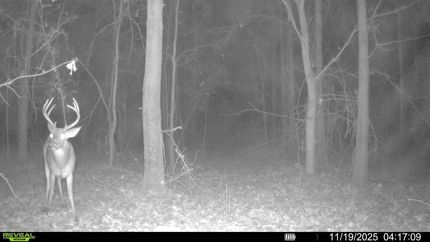 Timberland Property for sale in Crittenden County, Arkansas