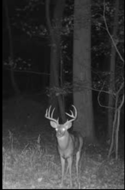 Property for sale in Hardin County, Illinois