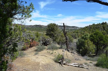 Property for sale in La Plata County, Colorado