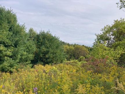 Property for sale in Oneida County, New York