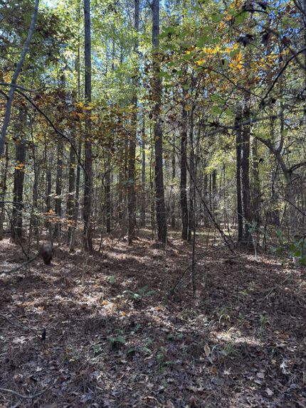 Recreational Property for sale in Lee County, Mississippi