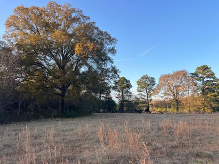 Property for sale in Talladega County, Alabama