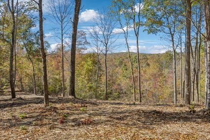 Property for sale in Scott County, Tennessee