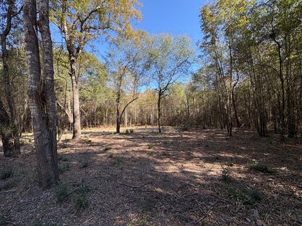 Property for sale in Twiggs County, Georgia