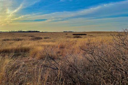 Undeveloped Land for sale in Pratt County, Kansas
