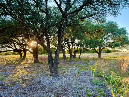 Property for sale in Coryell County, Texas