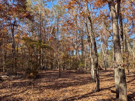 Property for sale in Kershaw County, South Carolina