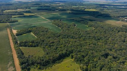 Undeveloped Land for sale in Coles County, Illinois