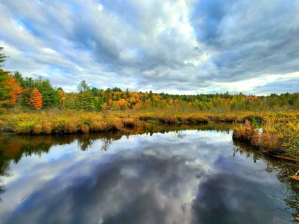 Property for sale in Lewis County, New York