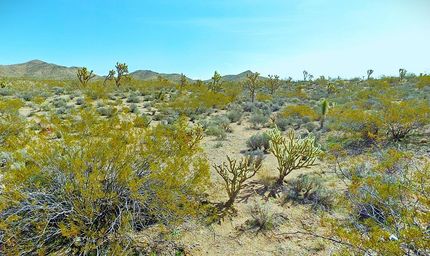 Property for sale in Mohave County, Arizona