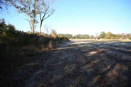 Undeveloped Land for sale in Robeson County, North Carolina