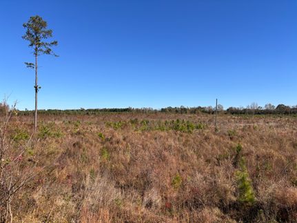 Timberland Property for sale in Calhoun County, South Carolina