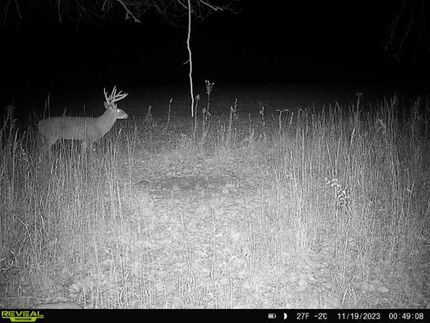 Property in Owen County, Indiana