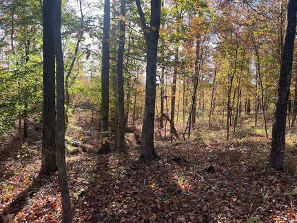 Undeveloped Land for sale in Jefferson County, Arkansas