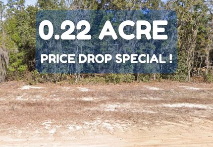 Undeveloped Land for sale in Putnam County, Florida