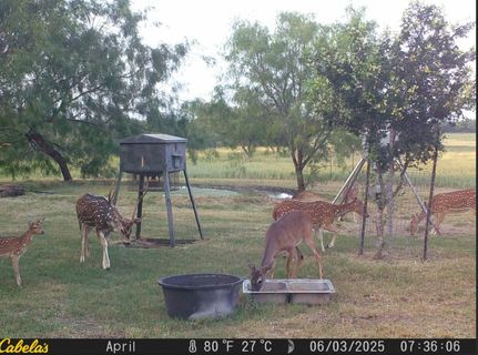 Undeveloped Land for sale in Starr County, Texas