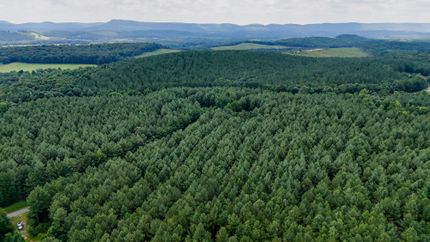 Undeveloped Land for sale in Chattooga County, Georgia