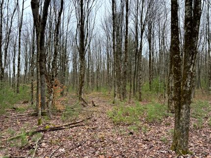 Hunting Land for sale in Oneida County, New York