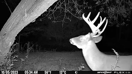 Property for sale in Richland County, South Carolina