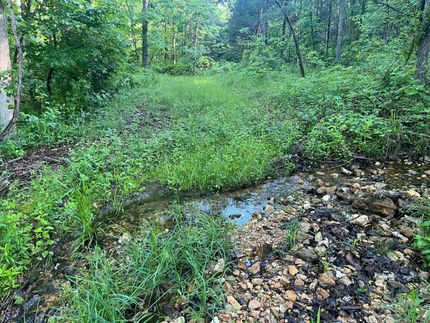 Property for sale in Douglas County, Missouri