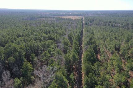 Undeveloped Land for sale in Calhoun County, Arkansas